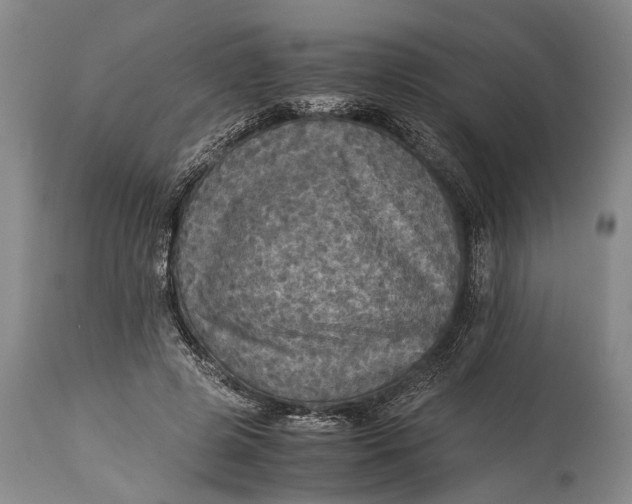 X0000115310545200911161723