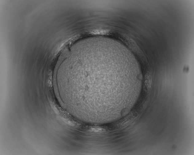 X0000115310547200911161723