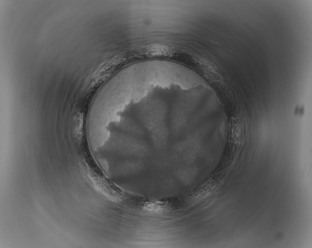 X0000115310550200911161724