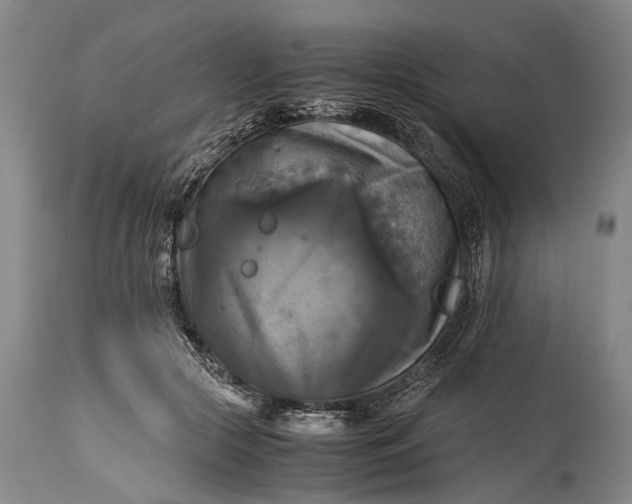 X0000115310553200911161724