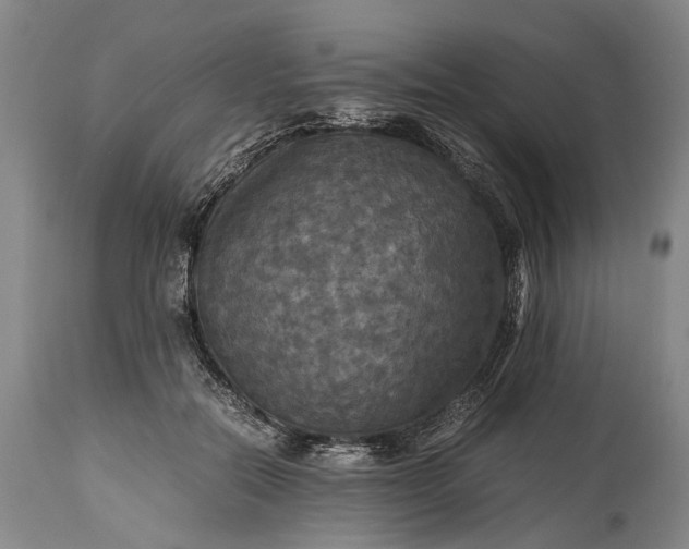 X0000115310554200911161724