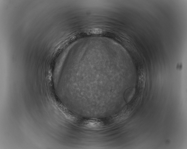 X0000115310555200911161724