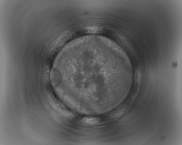 X0000115310557200911161724