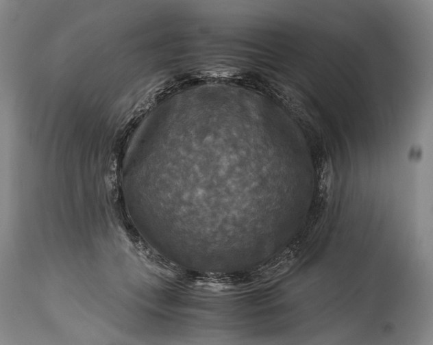 X0000115310559200911161724