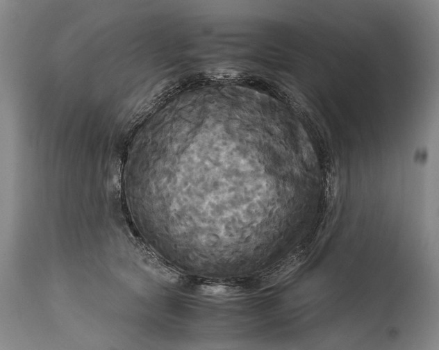 X0000115310561200911161724