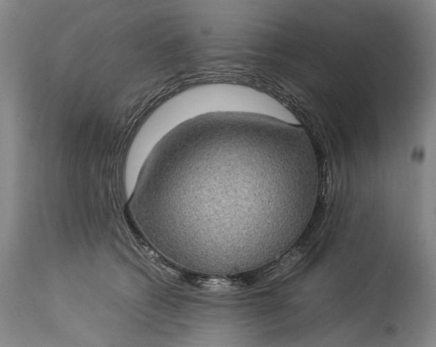 X0000115310562200911161724