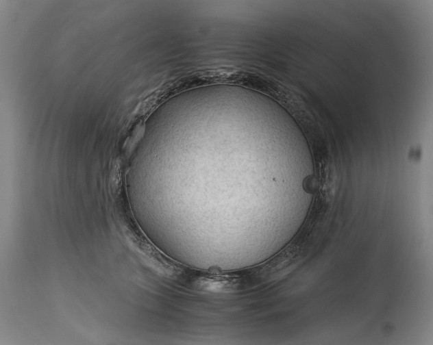 X0000115310563200911161724