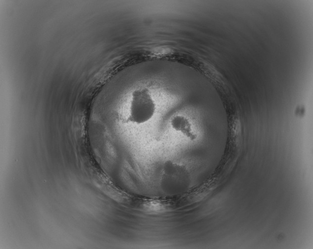 X0000115310565200911161724