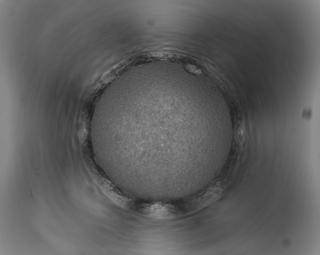 X0000115310566200911161724