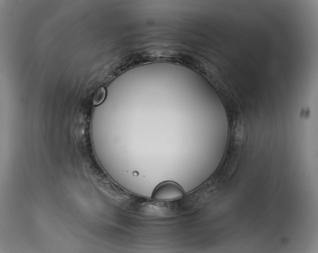 X0000115310567200911161724