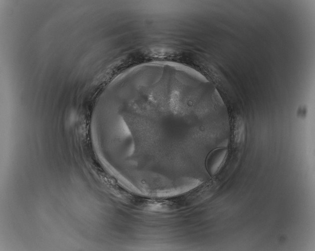 X0000115310569200911161724