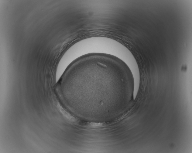 X0000115310570200911161724