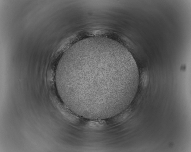 X0000115310571200911161724