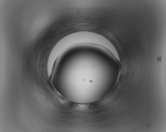 X0000115310573200911161724