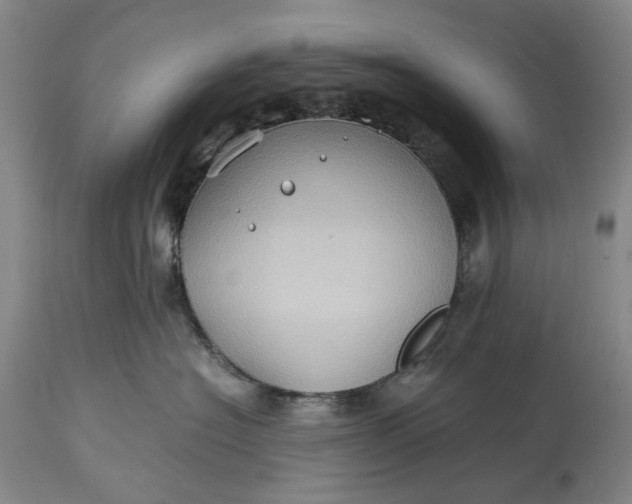 X0000115310574200911161724