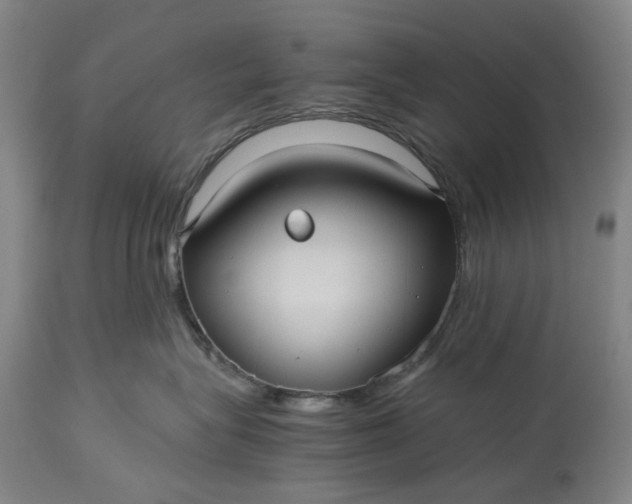 X0000115310575200911161724