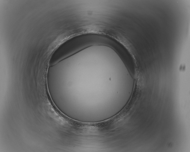 X0000115310577200911161723