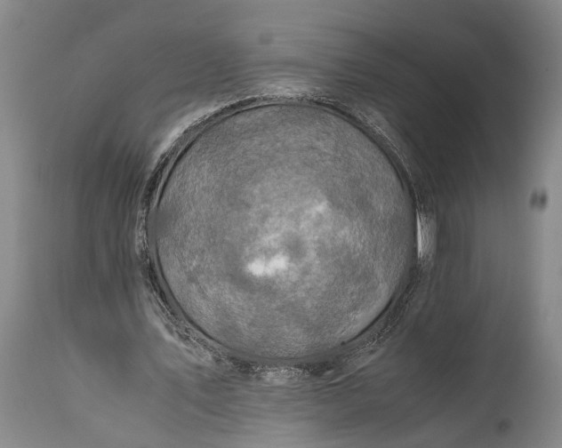 X0000115310579200911161723