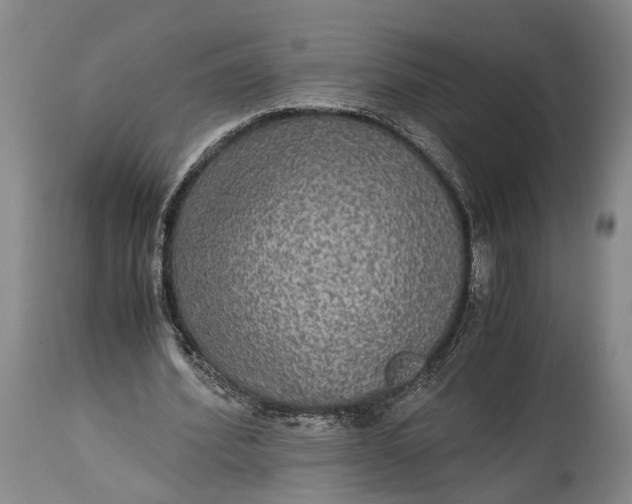 X0000115310580200911161723