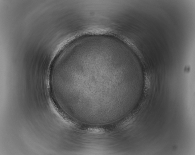 X0000115310582200911161723