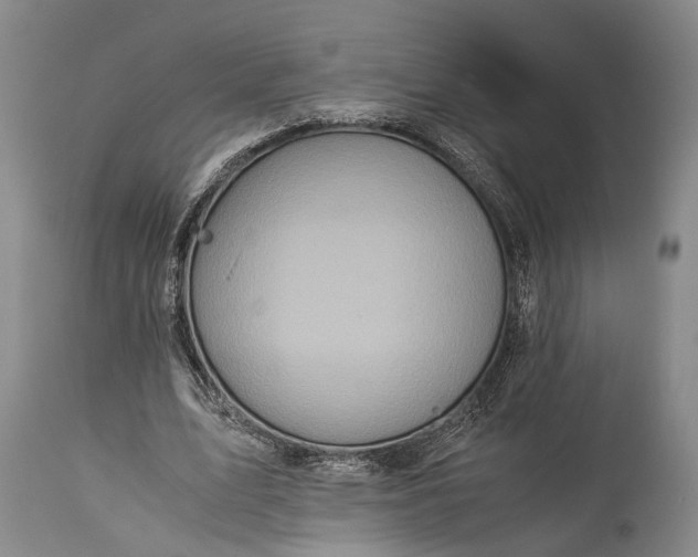 X0000115310583200911161723