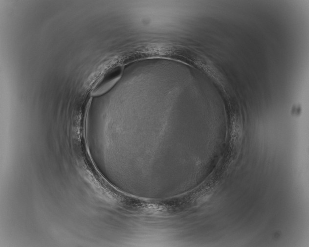 X0000115310585200911161723