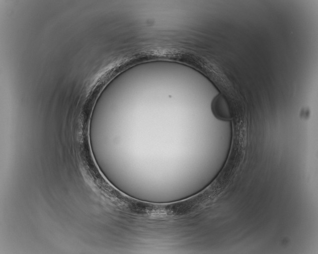 X0000115310587200911161723