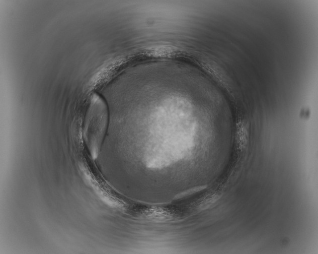 X0000115310589200911161723