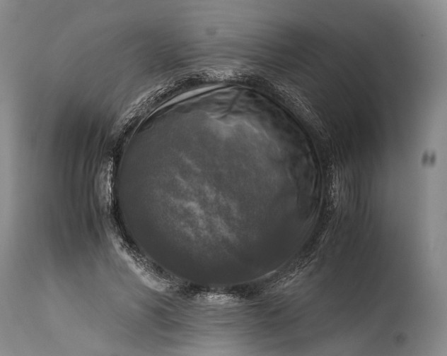 X0000115310590200911161723