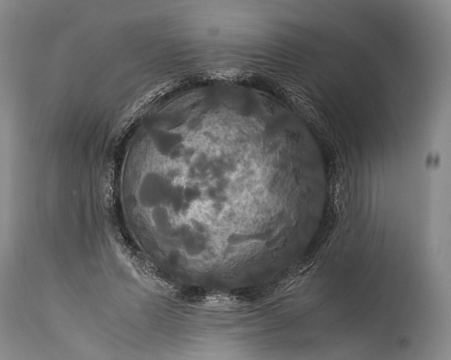 X0000115310591200911161723