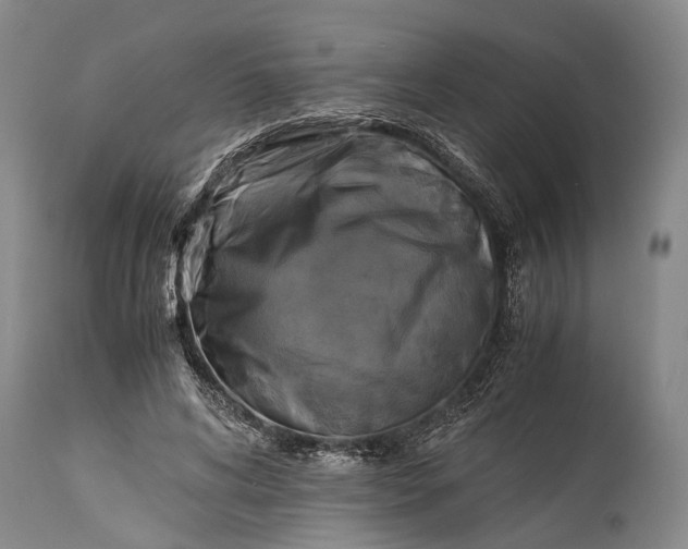 X0000115310592200911161723