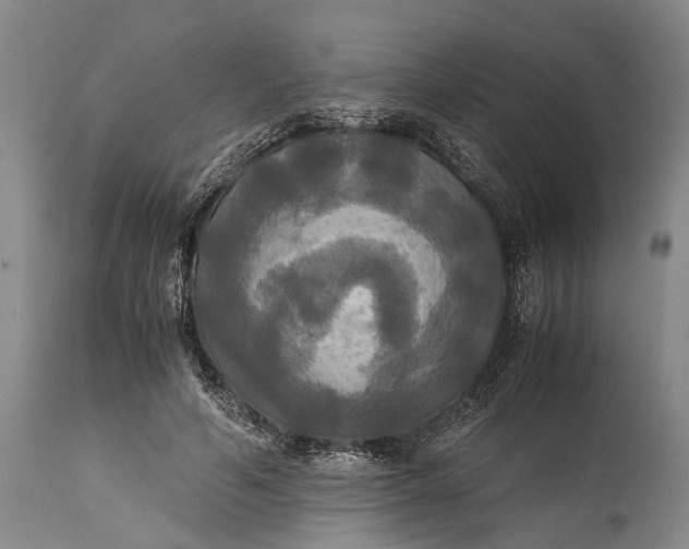 X0000115310594200911161723