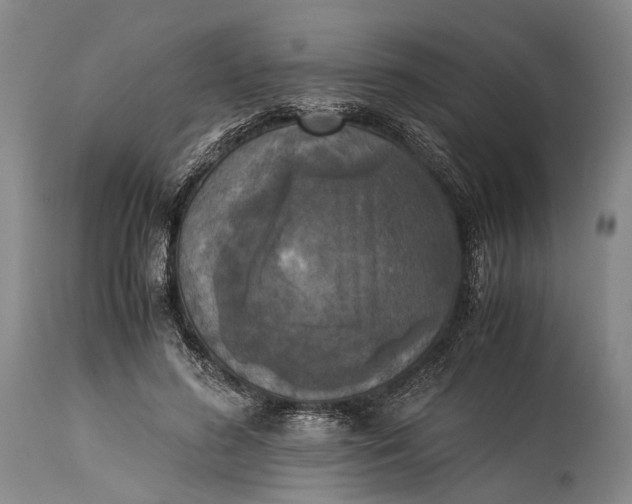 X0000115310596200911161723