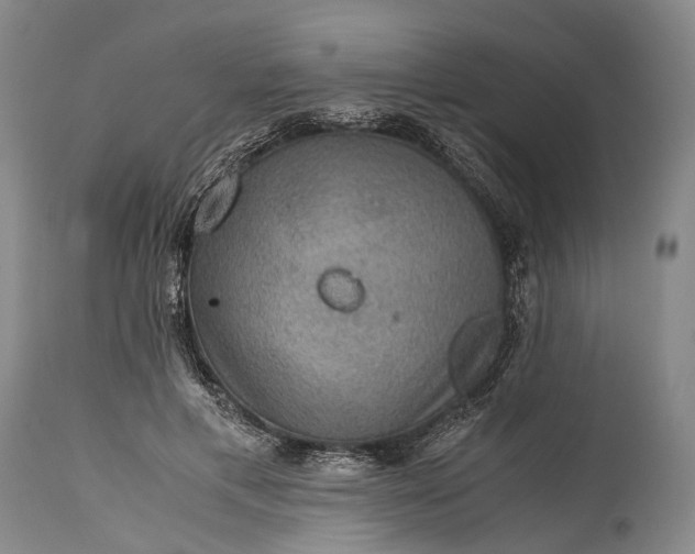 X0000115310597200911161723