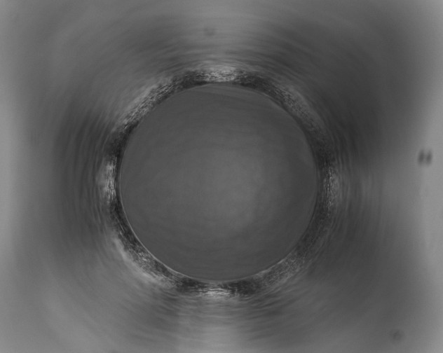 X0000115310598200911161723