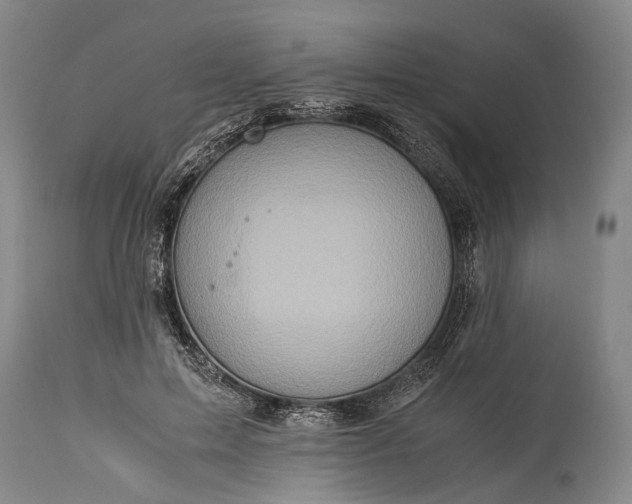 X0000115310599200911161723