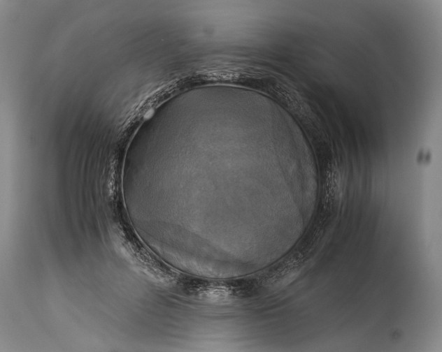 X0000115310600200911161723