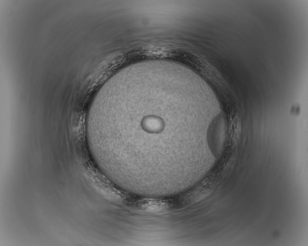 X0000115310601200911161723