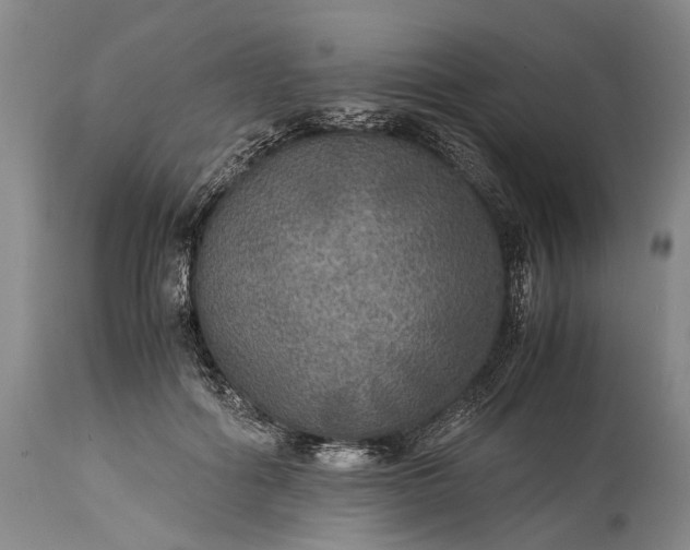 X0000115310602200911161723