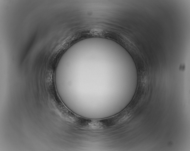 X0000115310603200911161723