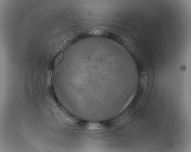 X0000115310605200911161723