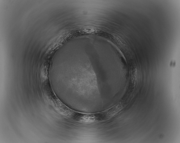 X0000115310606200911161723