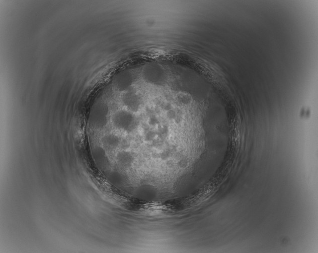 X0000115310607200911161723