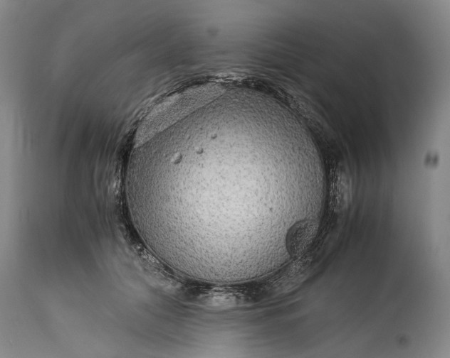 X0000115310608200911161723