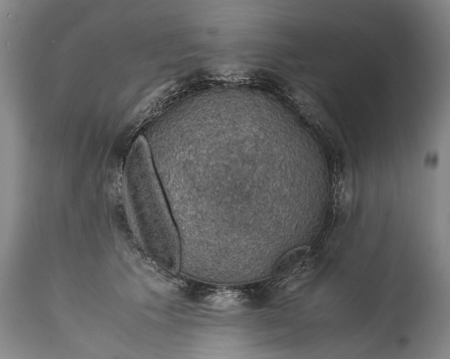 X0000115310609200911161723