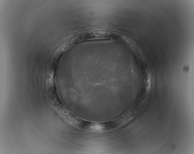 X0000115310610200911161723