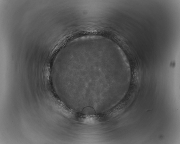 X0000115310612200911161723