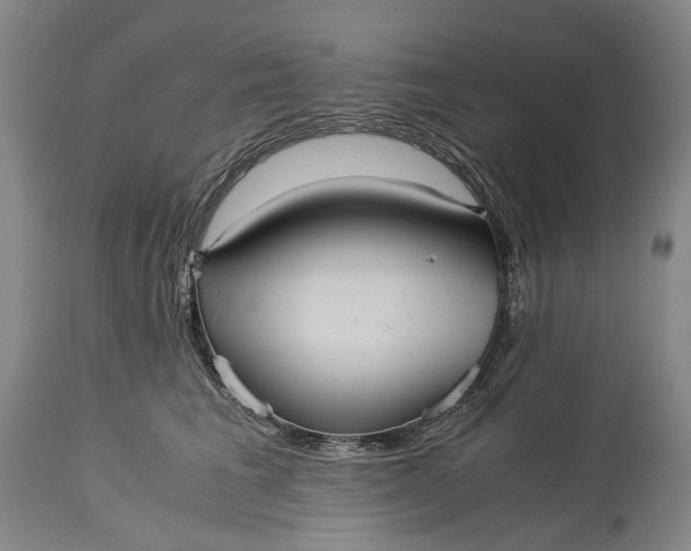 X0000115310613200911161723