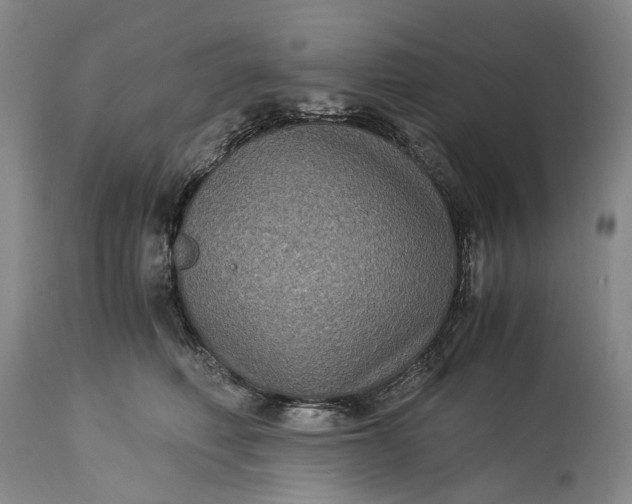 X0000115310614200911161723