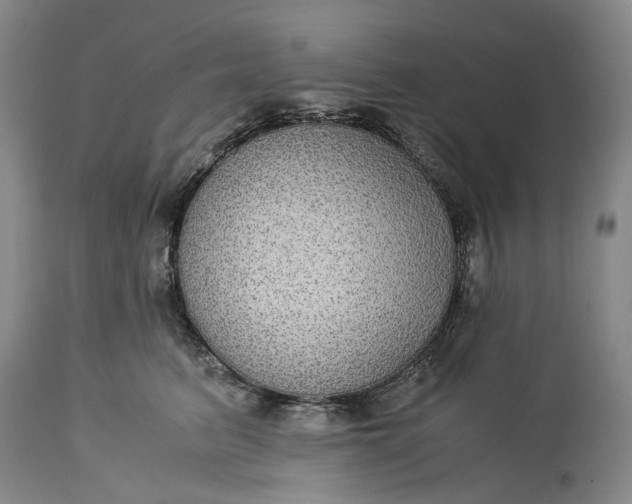 X0000115310615200911161723